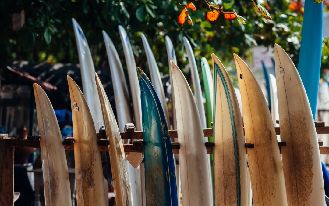 Planches de surf alignées debout sur un rack